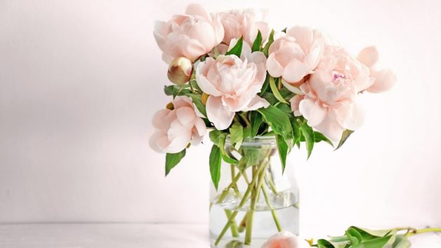 Your Flowers