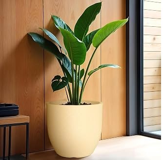 Pot And Planter Store